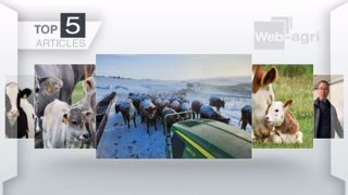 Articles les plus lus sur Web-agri fin 2022 - début 2023. (©Terre-net Média)