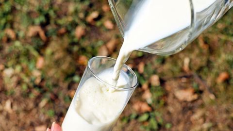 Le prix standard du lait de vache conventionnel atteignait 453 €/1 000 l au mois d’octobre (©Pixabay) Le prix standard du lait de vache conventionnel atteignait 453 €/1 000 l au mois d’octobre (©Pixabay)