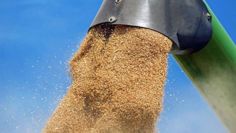 Les premières projections du CIC portent la production mondiale de blé en 2023/24 à 788 Mt, 1 % de moins que le record de 2022/23. (©Pixabay) Les premières projections du CIC portent la production mondiale de blé en 2023/24 à 788 Mt, 1 % de moins que le record de 2022/23. (©Pixabay)