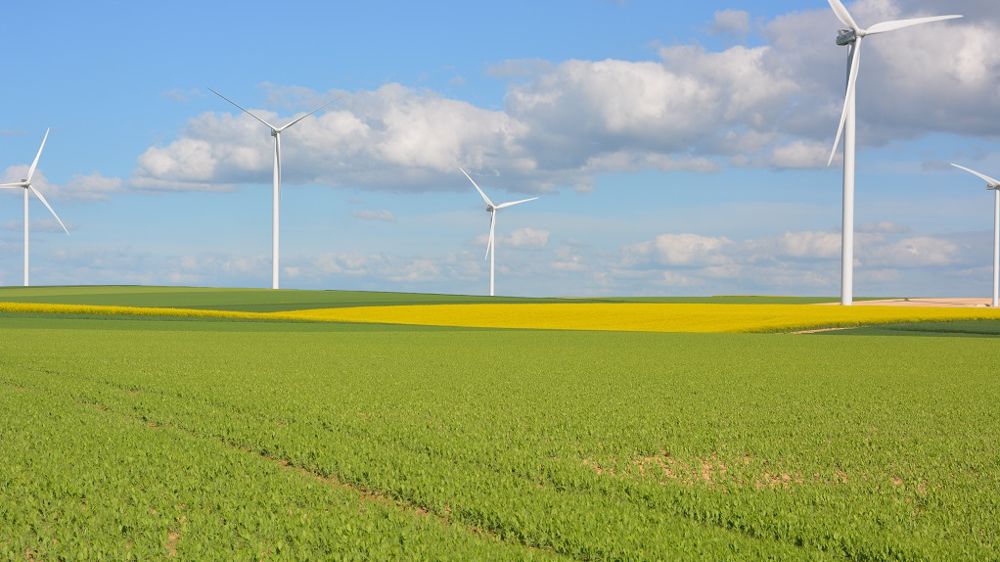 Vous cultivez ou avez cultivé du pois de printemps sur votre exploitation ? N'hésitez pas à laisser votre avis sur la culture dans les commentaires de l'article. (©Pixabay)