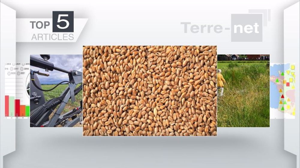 Articles les plus lus sur Terre-net cette semaine. (©Terre-net Média)