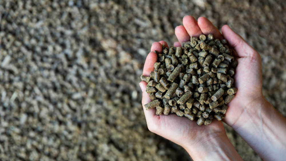 Pour les prix des tourteaux, l'heure est à la stabilisation voire à la baisse (©AdobeStock)
