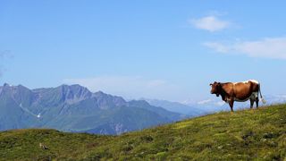 Pour ces jeunes, les paysages et la sensation de liberté qu'offre l'élevage en montagne compensent les contraintes. (©Pixabay) Pour ces jeunes, les paysages et la sensation de liberté qu'offre l'élevage en montagne compensent les contraintes. (©Pixabay)