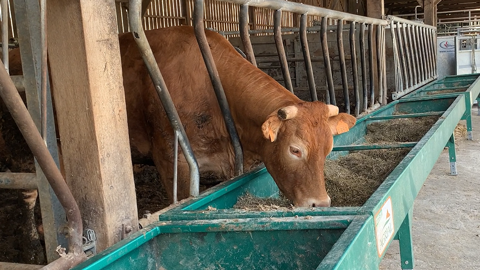 Pas suffisamment entendue dans les décisions, la FNB en appelle au Ministre quant à l'avenir de l'élevage français. « De quel élevage veut-on demain ? » (©Terre-net Média) Pas suffisamment entendue dans les décisions, la FNB en appelle au Ministre quant à l'avenir de l'élevage français. « De quel élevage veut-on demain ? » (©Terre-net Média)