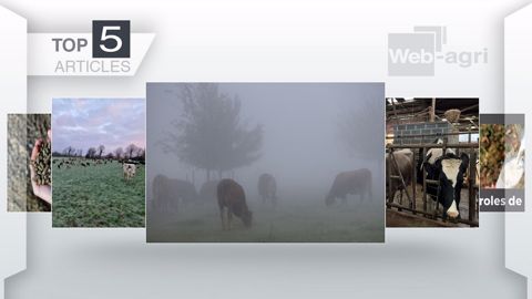 Articles les plus lus cette semaine sur Web-agri. (©Terre-net Média)