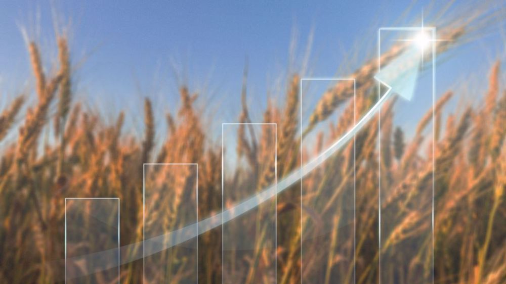 Fin janvier, les export de blé de l'UE sur la campagne 2022/23 étaient en hausse de 8 % par rapport à 2021/22 et de 20 % par rapport à 2020/21 à la même date (©AdobeStock)