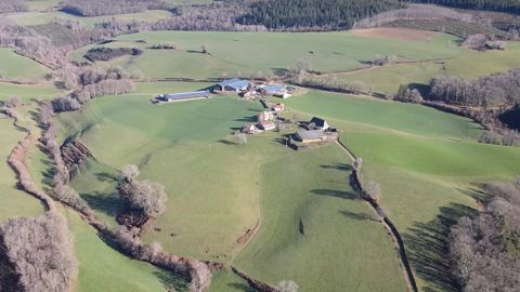 Le Gaec Calamity élevage (15) recherche son futur associé Le Gaec Calamity élevage (15) recherche son futur associé