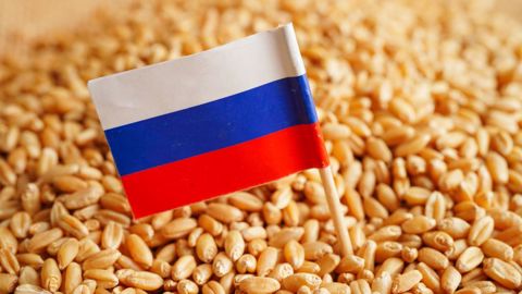 Selon le gouvernement russe, les exportations du pays en blé sur cette campagne de commercialisation dépasseraient de 12 % celles de 2021/22 (©AdobeStock) Selon le gouvernement russe, les exportations du pays en blé sur cette campagne de commercialisation dépasseraient de 12 % celles de 2021/22 (©AdobeStock)