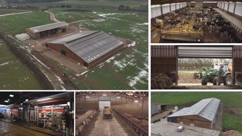 En élevage laitier et allaitant : 3 bâtiments flambants neufs et tout confort