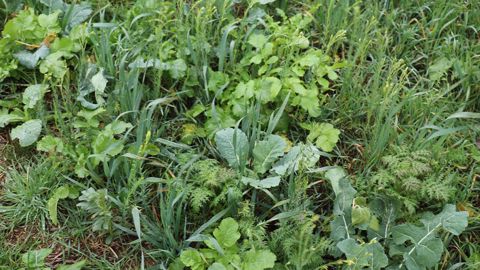 Sur le portail <a href="https://agroecologie.org/" target="_blank">agroecologie.org</a>, Pour une Agriculture du Vivant regroupe différents outils au service de la transition. (©Terre-net Média) Sur le portail <a href="https://agroecologie.org/" target="_blank">agroecologie.org</a>, Pour une Agriculture du Vivant regroupe différents outils au service de la transition. (©Terre-net Média)