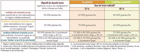 Densité de semis du tournesol