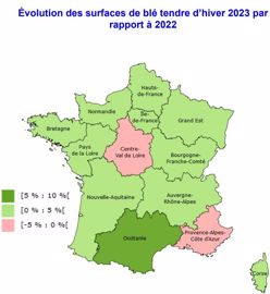 Evolution des surfaces de blé tendre d'hiver 2023, par rapport à 2022