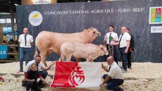 Ovidie et Ourasie sur le podium du concours Blond Ovidie et Ourasie sur le podium du concours Blond