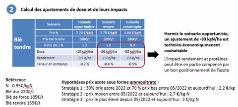 Exemple d’ajustement pour permettre de conserver la rentabilité technico-économique de la culture de blé tendre dans le contexte de l’année