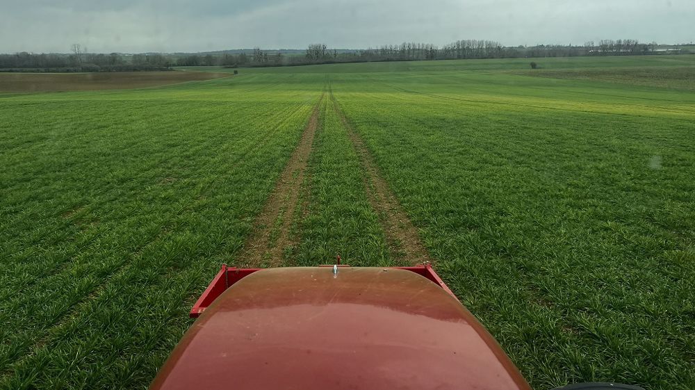 Selon Arvalis, «  15 mm de pluie après l’apport dans les 15 jours suffisent pour permettre une valorisation correcte de l’engrais azoté, apporté au bon stade ». (©Maxime Gautreau/Twitter)