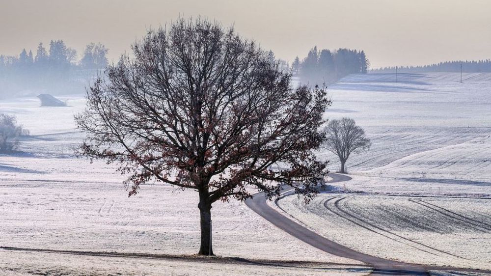 Les températures seront en baisse en fin de semaine et les gelées seront fréquentes. (©Pixabay)