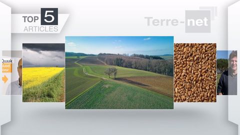 Les articles les plus lus de la semaine sur Terre-net. (©Terre-net Média)