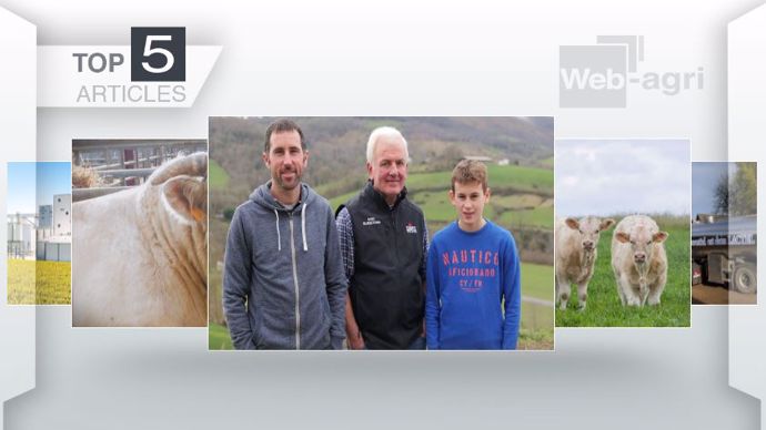Articles les plus lus cette semaine sur Web-agri. (©Terre-net Média)