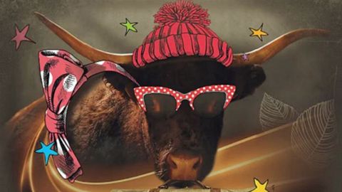 Ovalie, star du Sia 2023 et bientôt de la chanson, grâce à des lycéens et Wazoo?