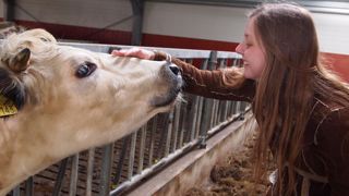 Dans le cadre de la stratégie européenne Farm to Fork, le Parlement européen tablera sur une nouvelle réglementation pour le bien-être animal d'ici la fin de l'année. (©Pixabay - FotoRieth) Dans le cadre de la stratégie européenne Farm to Fork, le Parlement européen tablera sur une nouvelle réglementation pour le bien-être animal d'ici la fin de l'année. (©Pixabay - FotoRieth)