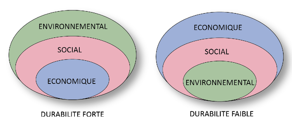 Soutenabilité Forte Ses: Soutenabilité Forte Définition – HYRIL