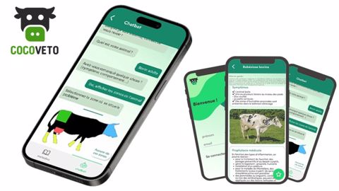 L'application CocoVeto sera gratuite pour les éleveurs dont le vétérinaire souscrit l'abonnement. (©Terre-net Média)