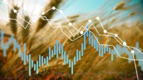 L'année 2022 a été marquée par une très forte volatilité des prix des céréales (<a href="https://stock.adobe.com/fr/contributor/205405392/billionphotos-com?load_type=author&prev_url=detail" target="_blank">©BillionPhotos.com</a>, AdobeStock) L'année 2022 a été marquée par une très forte volatilité des prix des céréales (<a href="https://stock.adobe.com/fr/contributor/205405392/billionphotos-com?load_type=author&prev_url=detail" target="_blank">©BillionPhotos.com</a>, AdobeStock)