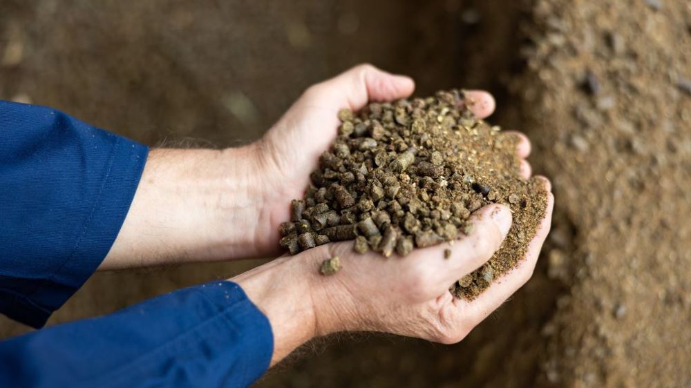 Le tourteau de colza départ Ottmarsheim vient de reprendre 13 €/t en une journée sur les échéances mai-juillet et août-octobre. (<a href="https://stock.adobe.com/fr/contributor/200412305/jackf?load_type=author&prev_url=detail" target="_blank">©JackF</a>, AdobeStock)