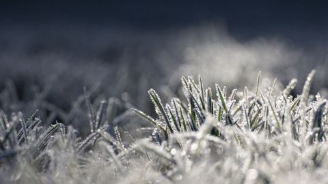 Des gelées matinales sont prévues mardi matin. (©Pixabay) Des gelées matinales sont prévues mardi matin. (©Pixabay)