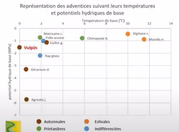 Représentation des adventices suivant leurs températures et potentiels hydriques de base