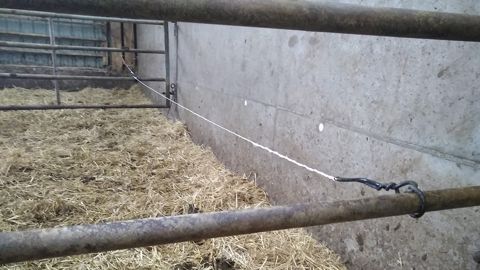 Fil électrique dans la stabulation