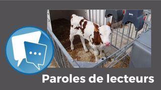 Comment avez-vous réagi à ces préconisations ? Répondez-nous en commentaires sous l'article. (©Terre-net Média)