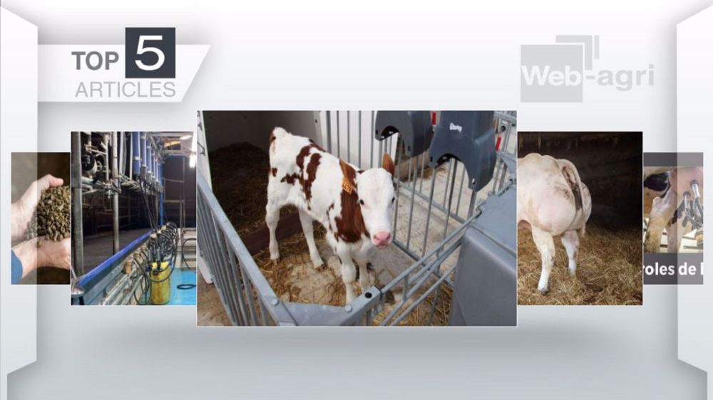  Les cinq articles les plus lus de la semaine sur Web-agri. (©Terre-net Média)