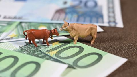 En 2022, les fermes laitières en polyculture-élevage du réseau Inosys ont obtenu un revenu moyen presque quatre fois supérieur à celui des exploitations spécialisées en lait bio de plaine. (<a href="https://stock.adobe.com/fr/contributor/207290353/jeanluc?load_type=author&prev_url=detail" target="_blank">©JeanLuc</a>, AdobeStock) En 2022, les fermes laitières en polyculture-élevage du réseau Inosys ont obtenu un revenu moyen presque quatre fois supérieur à celui des exploitations spécialisées en lait bio de plaine. (<a href="https://stock.adobe.com/fr/contributor/207290353/jeanluc?load_type=author&prev_url=detail" target="_blank">©JeanLuc</a>, AdobeStock)