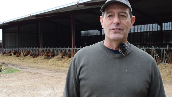 Des Limousines pour faire perdurer l'élevage sur une ferme céréalière