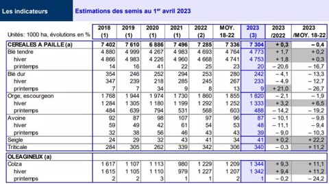 Estimations des semis au 1er avril 2023