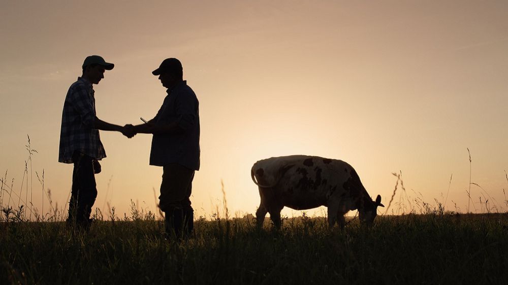 En attendant qu'un de ses enfants reprennent éventuellement, Aymeric travaille avec des apprentis et des associés. (©photo d'illustration Adobe Stock)