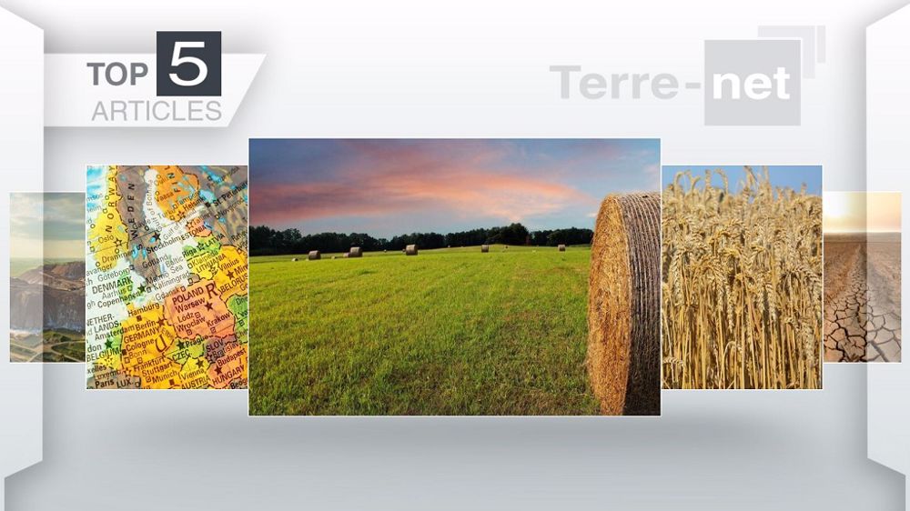 Articles les plus lus cette semaine sur Terre-net. (©Terre-net Média)