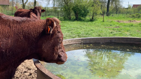 Pour l'approvisionnement en eau, mieux vaut diversifier ses sources ! (© Terre-net Média)