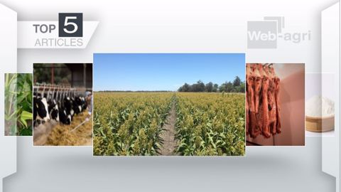 Articles les plus lus sur Web-agri cette semaine (©Terre-net Média) Articles les plus lus sur Web-agri cette semaine (©Terre-net Média)