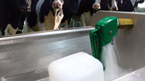 Les robinetteries à grands débits Jumbo et Jumbo+ de La Buvette sont fabriquées en France. (©La Buvette)