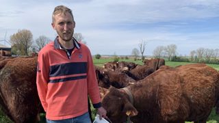 Avec la Salers, le vêlage n’est plus une « affaire d’état »