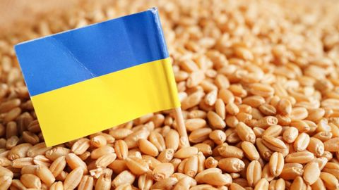 La Commission européenne a promis aux pays de l'est de l'UE d'améliorer le transit des céréales ukrainiennes via les couloirs de la solidarité mis en place au début de la guerre pour pallier les blocages des cargos en Mer noire. (<a href="https://stock.adobe.com/fr/contributor/210867445/manassanant?load_type=author&prev_url=detail" target="_self">©manassanant</a>, AdobeStock) La Commission européenne a promis aux pays de l'est de l'UE d'améliorer le transit des céréales ukrainiennes via les couloirs de la solidarité mis en place au début de la guerre pour pallier les blocages des cargos en Mer noire. (<a href="https://stock.adobe.com/fr/contributor/210867445/manassanant?load_type=author&prev_url=detail" target="_self">©manassanant</a>, AdobeStock)