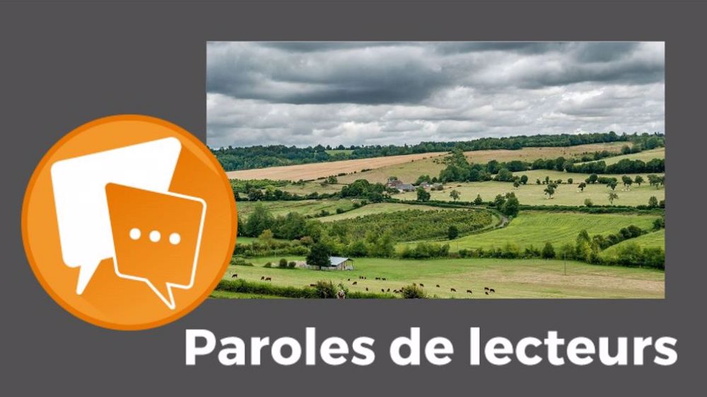 Votre avis nous intéresse : partagez-le, en commentaires, sous l'article. (© Pixabay // Création Terre-net Média)
