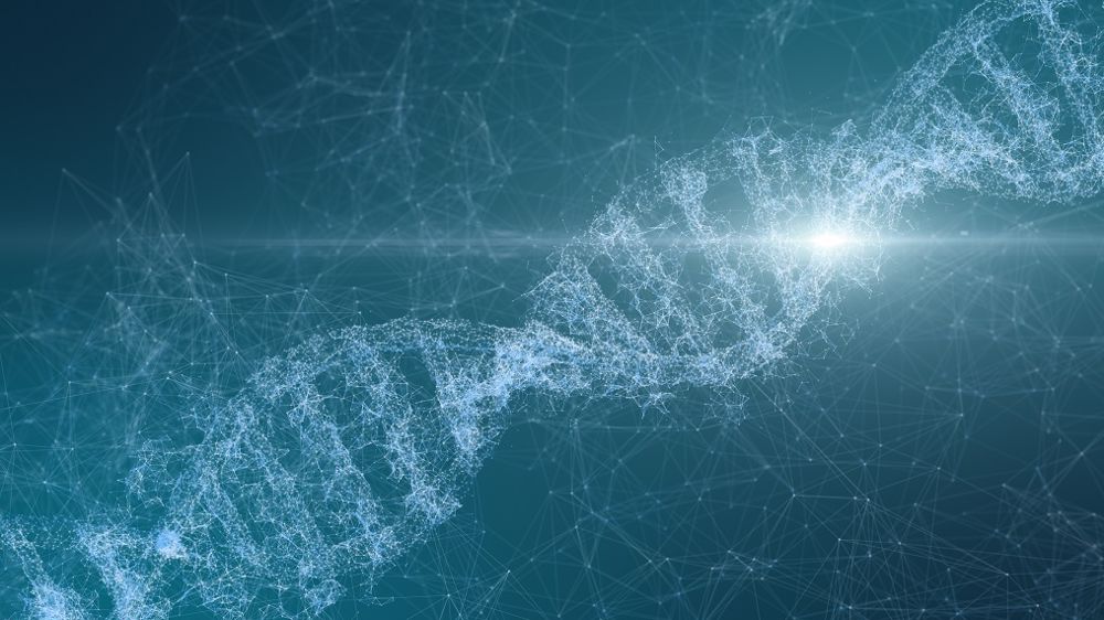 Le Cesa préconise une « évaluation systématique » des produits NTG. (©Adobe Stock)