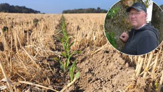 Thierry Magré : « Il nous fallait une solution rapide qui nous permette de sécuriser l’implantation de notre maïs, le strip-till permet de fissurer le sol, et le fertiliser en une même opération, grâce à cette organisation, nos dates de récolte de maïs sont un peu plus faciles à caler. » (©Earl de Saint-Doué) Thierry Magré : « Il nous fallait une solution rapide qui nous permette de sécuriser l’implantation de notre maïs, le strip-till permet de fissurer le sol, et le fertiliser en une même opération, grâce à cette organisation, nos dates de récolte de maïs sont un peu plus faciles à caler. » (©Earl de Saint-Doué)