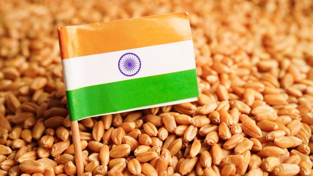 La production 2023 de blé en Inde est annoncée à 112,7 Mt (<a href="https://stock.adobe.com/fr/contributor/208188599/amazing-studio?load_type=author&prev_url=detail" target="_self">©amazing studio</a>, AdobeStock)