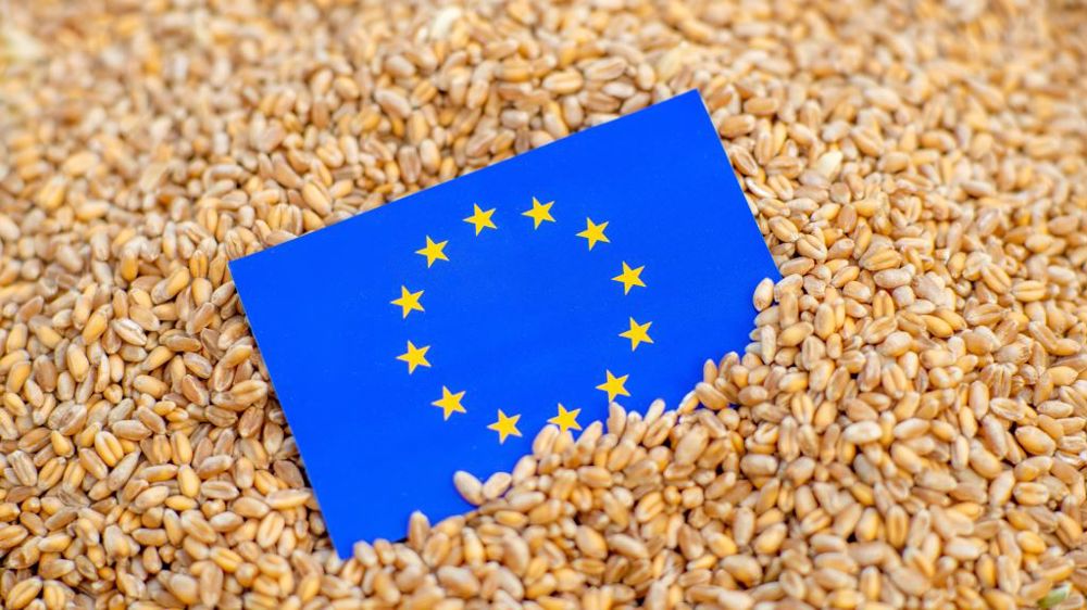 Les acheteurs étasuniens ont contractualisé 60 000 t de blé polonais et allemand la semaine dernière. (<a href="https://stock.adobe.com/fr/contributor/201029164/konstiantyn-zapylaie?load_type=author&prev_url=detail" target="_self">©Konstiantyn Zapylai</a><a href="https://stock.adobe.com/fr/contributor/201029164/konstiantyn-zapylaie?load_type=author&prev_url=detail" target="_self">e</a>, AdobeStock)