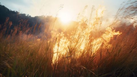 La proposition de loi visant à renforcer la prévention et la lutte contre l'intensification du risque incendie avait été adoptée au Sénat le 4 avril. (©Adobe Stock) La proposition de loi visant à renforcer la prévention et la lutte contre l'intensification du risque incendie avait été adoptée au Sénat le 4 avril. (©Adobe Stock)