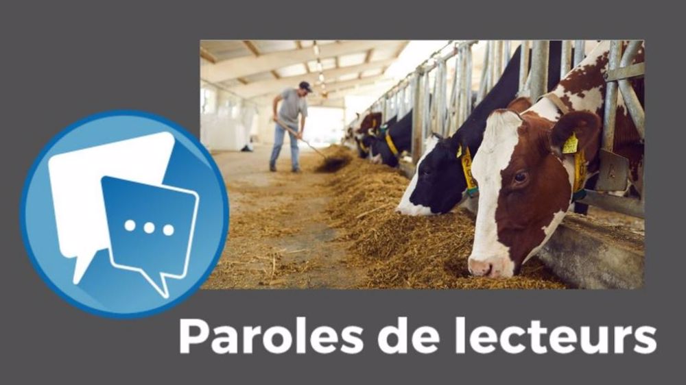  Et vous, qu'en pensez-vous ? Commentez ces commentaires... de commentaires ! (© Pixabay / MontageTerre-net Média)